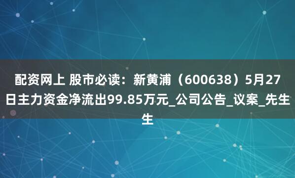 配资网上 股市必读：新黄浦（600638）5月27日主力资金净流出99.85万元_公司公告_议案_先生